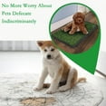 thumbnail image 2 of Reusable Dog Grass Pad with Tray 35" x 23", Puppy Potty Pads with Drainage Holes, Artificial Grass Washable Dog Pee Mat for Indoor Pet Training, 2 of 6