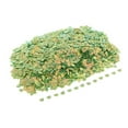 thumbnail image 1 of Rongfmy 100g 6x8mm Shell Loose Sequins Paillettes DIY Scrapbooking for 6, 1 of 7