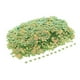 thumbnail image 1 of 100g Lentejuelas Sueltas de Concha Plana Artesanías Hechas Decoración de Ropa de Bricolaje 6x8 Mm 6 Gloria Lentejuelas sueltas Paillettes, 1 of 7