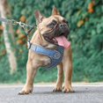 thumbnail image 1 of Pet Reflective Dog Harness Medium Large Dog Lead Walking Running Leashes Dogs Chest Strap Vest _jiue, 1 of 2