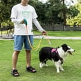 thumbnail image 3 of CNKOO Nylon Pet Leash  Non-Slip Handle  Shockproof Dog Walking Rope  Durable Dog Collar  Hand Wash Only  Pet Supplies for Dogs, 3 of 6