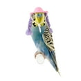 thumbnail image 3 of YongCo Pet Party Hat For Small Animals Cockatiels Parrots Colorful Costume Accessories, 3 of 16