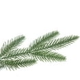 thumbnail image 6 of Northlight Real Touch™️ Full Hudson Fir Artificial Christmas Tree - Unlit - 7.5', 6 of 9