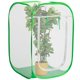 thumbnail image 1 of Cobertor de Malla para Plantas PURPLE STAR 1N 60x60x90 cm con Bolsa, 1 of 7