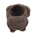 thumbnail image 4 of Maceta de rana: Maceta de cemento con forma de rana para suculentas, linda maceta con forma de animal, maceta para bonsái, ideal para escritorios de interior y oficina., 4 of 7
