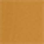 Almond (medium with neutral undertones)