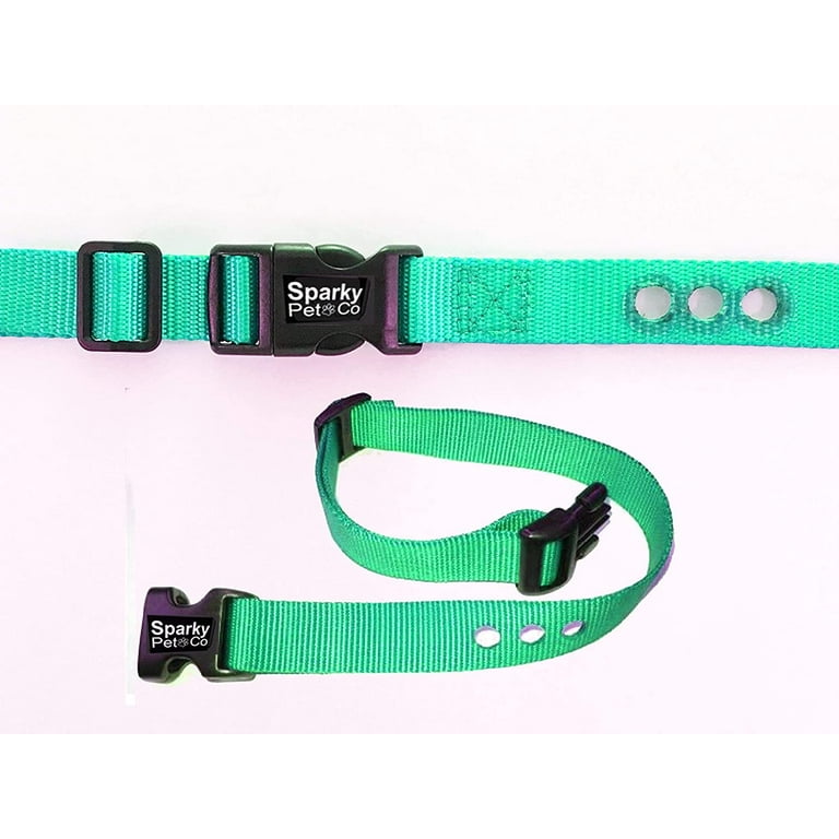 Petco shock shop collar barking