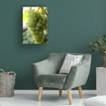 thumbnail image 2 of Canvas Wall Art - DANE 'Food 70' Wall Art for Living Room, Bedroom, or Office Décor by Trademark Fine Art - 30 x 47 Inches, 2 of 4