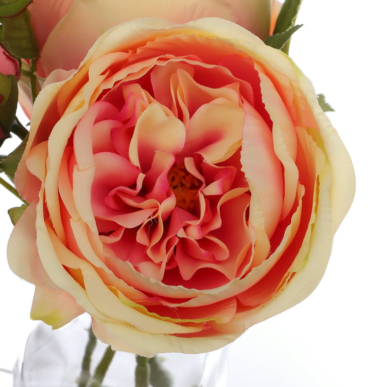 Blush/Rose Gold Tissue Paper – Peony Garden Graphics