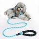 thumbnail image 3 of Nylon Dog Harness Leash For Medium Large Dogs Leads Pet Training Running Walking Safety Mountain Climb Dog Leashes Ropes Supply ShopWise Round, 3 of 12