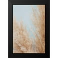 thumbnail image 2 of 1x Studio III 17x24 Black Modern Framed Museum Art Print Titled - Pampas Close 01, 2 of 5