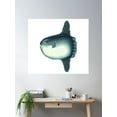 thumbnail image 2 of Ocean Sunfish Poster Wall Art, Modern Wall Decor For Living Room Bedroom, 24x24 UNFRAMED, 2 of 3