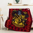 thumbnail image 2 of Harry Potter Crimson Sigil Kids Silk Touch Throw Blanket, 2 of 7