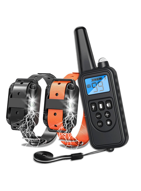 Dog Training and Shock Collars in Dog Collars, Leashes, and Harnesses