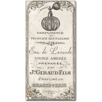 Trademark Fine Art "Signes Francais II" Canvas Art by Color Bakery