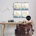 thumbnail image 3 of Maritime Seashells Ocean Beach Life Animals & Insects Graphic Art Unframed Art Print Wall Art, Set of 4, 3 of 7