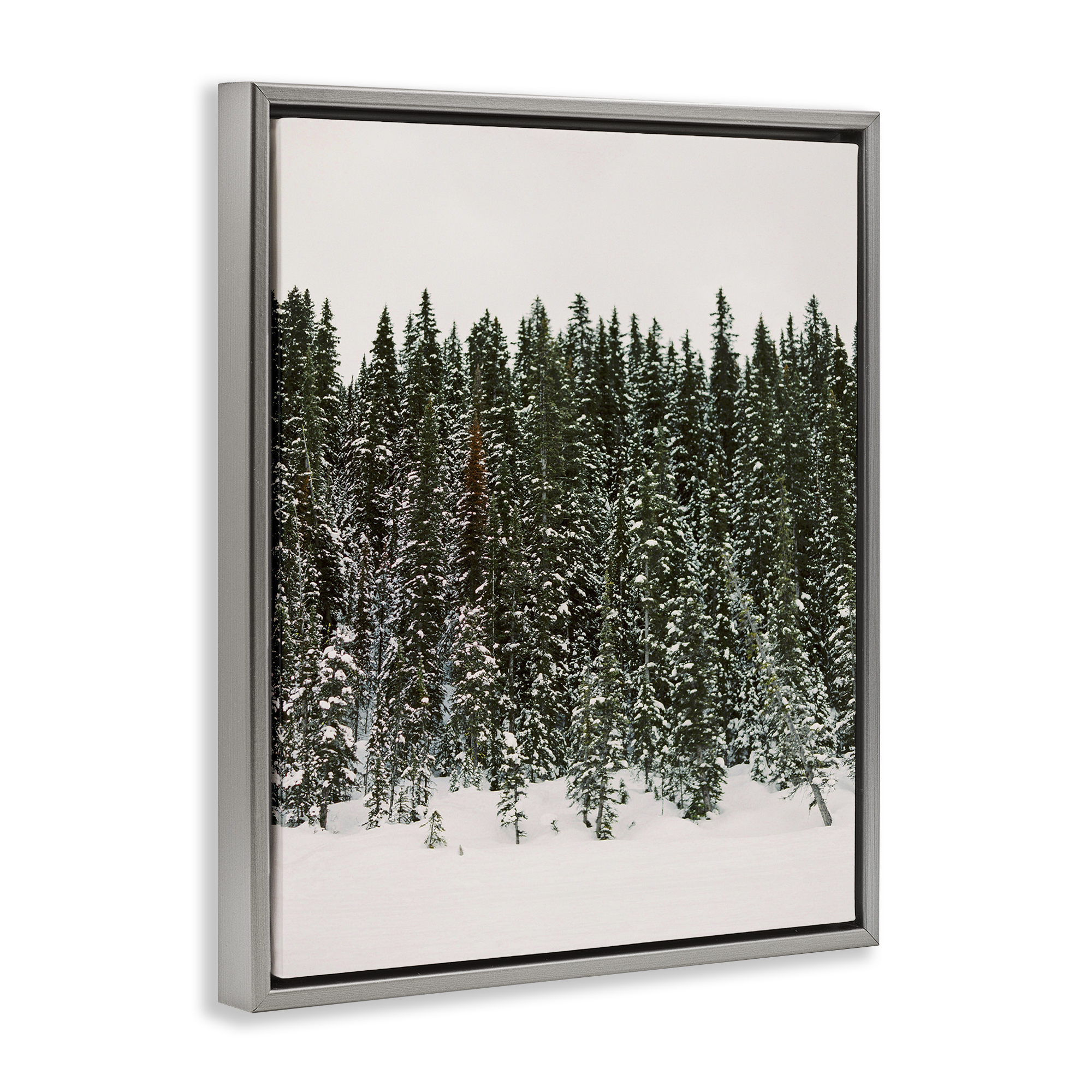 Stupell Industries Winter Forest Grove Landscape Photography Gray Floater Framed Art Print Wall Art, 17 x 21