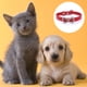 thumbnail image 3 of Los collares y corbatas con diamantes de imitación para mascotas, gatos y perros son adecuados para perros y gatos de tamaño pequeño y mediano., 3 of 5