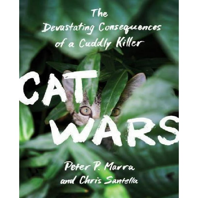 Cat Wars: The Devastating Consequences of a Cuddly Killer
