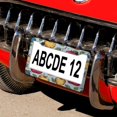 thumbnail image 5 of Cute Welcome Country Apple Fruit License Plate Cover 2 PCS Autumn Fall Fruit Car Tags Frames Holder for Women Men US Vehicles Standard 2 Holes Quality Aluminum Metal License Plate Frames, 5 of 6