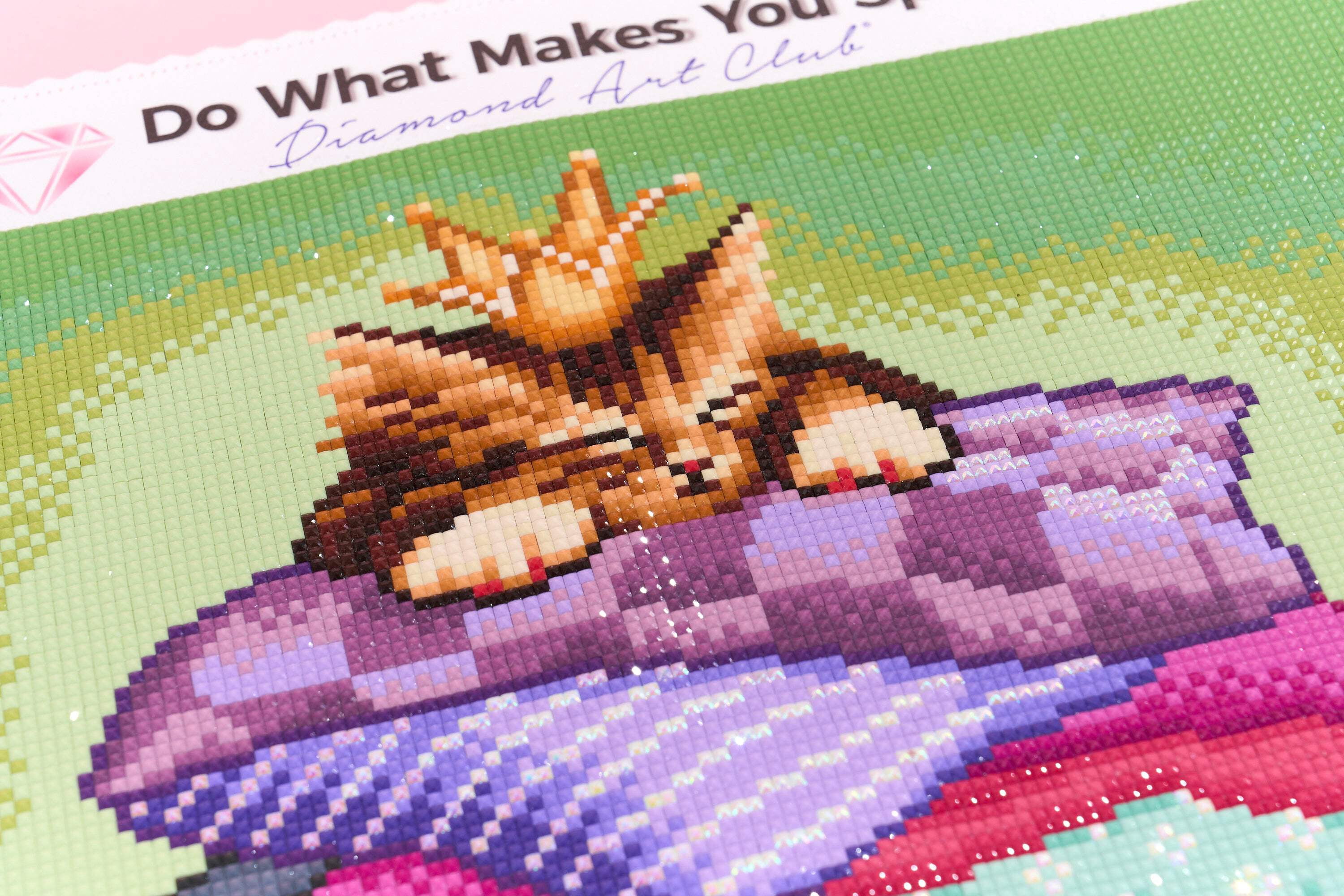 DIAMOND ART CLUB Princess  The Pea Kitty Diamond Painting Kit