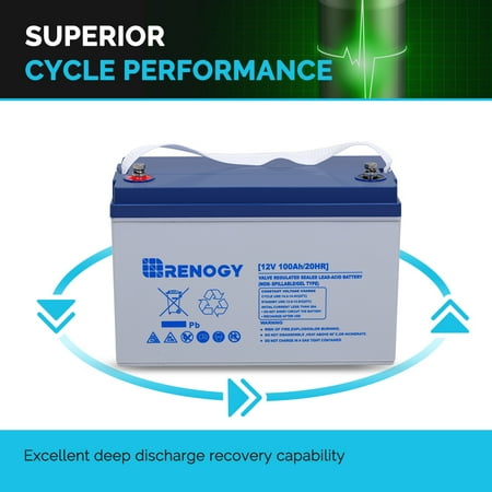 Renogy - 12-Volt 100Ah Deep Cycle Hybrid GEL Battery