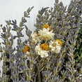 thumbnail image 5 of Bergamo Art Preserved Decorative Real Lavender Wreaths in Purple, 5 of 6