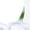 white-style, variant on 2024 Seashell On The Beach Women Or Men Lace Up Flat Sneakers Female Mesh Walking Footwear