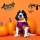 thumbnail image 3 of 4 Pieces Halloween Dog Shirt Halloween Dog Clothes Dog Costume Pumpkin Ghosts Bats Skeletons Printed Dog Puppy Halloween Dog Apparel (L), 3 of 3