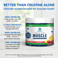 thumbnail image 5 of BioTrust Ageless Muscle Builder - Micronized Creatine Monohydrate Powder with HMB, Vitamin D3 & Betaine - Build & Preserve Naturally Declining Muscle Mass & Strength - Fruit Punch, 30 Servings, 5 of 7