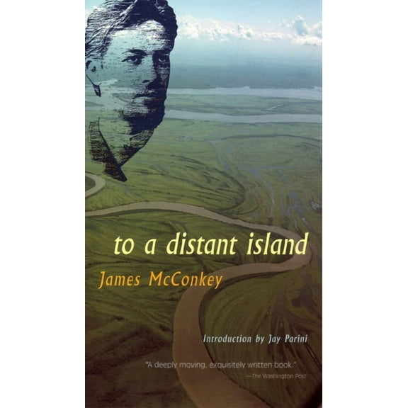To a Distant Island (Paperback)