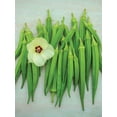 thumbnail image 4 of Burpee Clemson Spineless Okra Seed, Annual Vegetable, Full Sun, 4 of 5