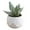 Multicolor A, variant on Mini Artificial Succulent in Plastic Pot - Fake Plants for Indoor Office Home Decor, Perfect Gift for Women, Low Maintenance Faux Plant for Kitchen, Living Room, Bedroom, and More