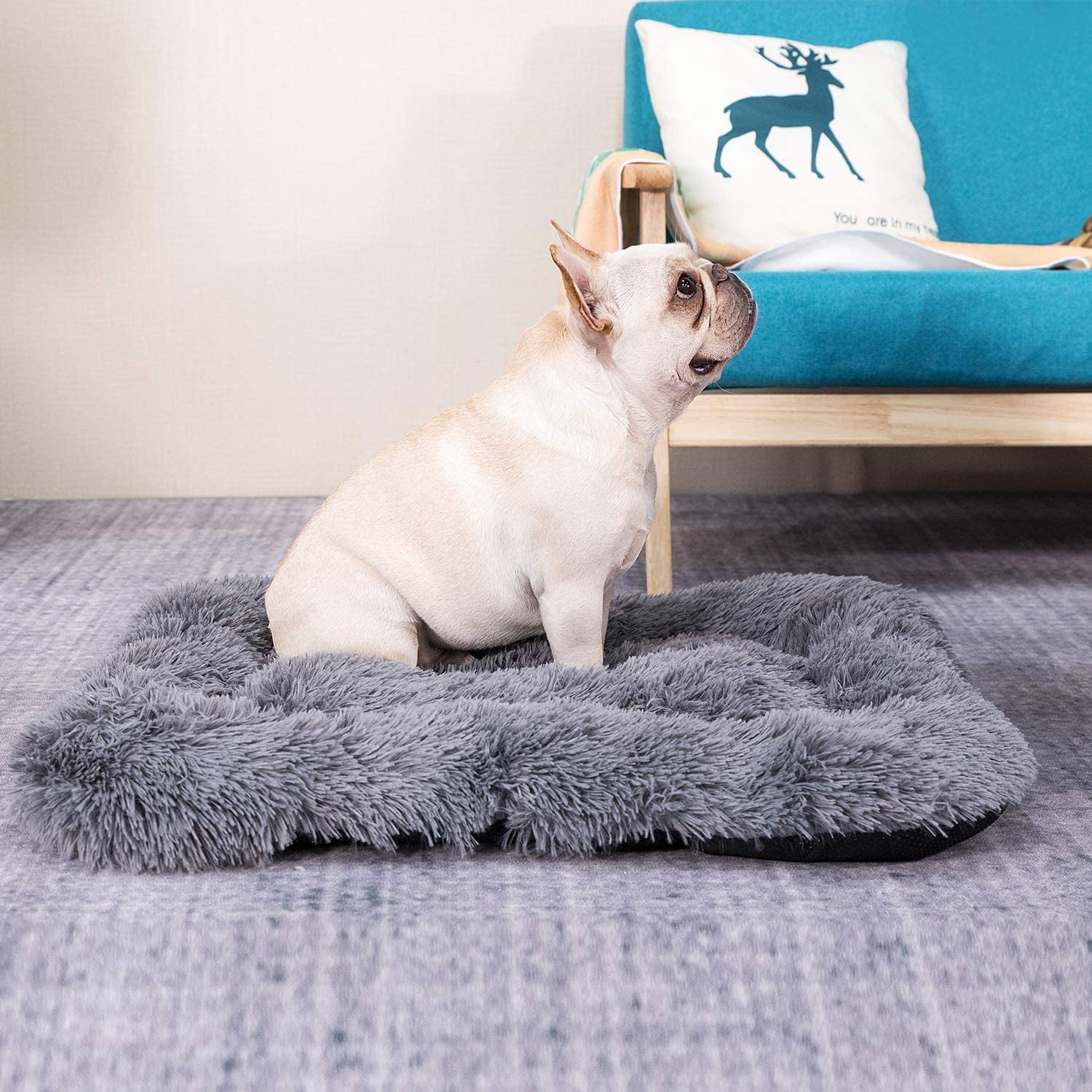 Dog pillow bed online
