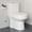 2133 Big Hole, variant on Quite-Close Round Toilet Seat For HOROW HWMT-8733S HWMT-8733/HT1000 (10'' Rough-in)HT100S Compact Toilet, Plastic