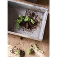 thumbnail image 3 of Rectangular Solid Wood Table Box Set of 3, 3 of 4
