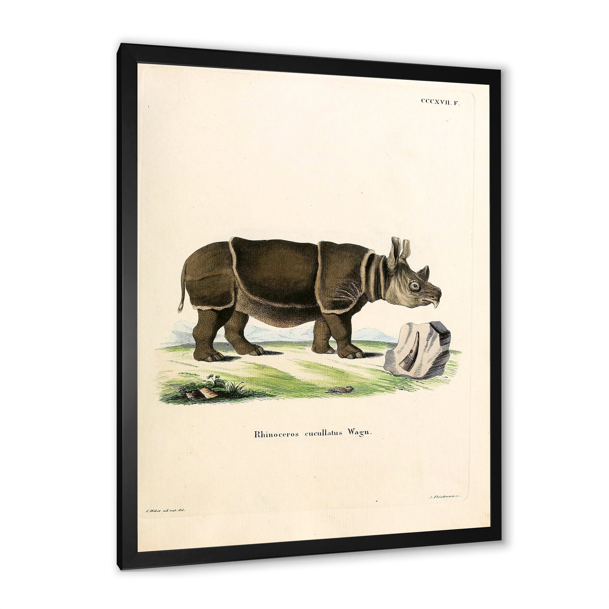 Designart 'Ancient Rhinoceros' Farmhouse Framed Art Print