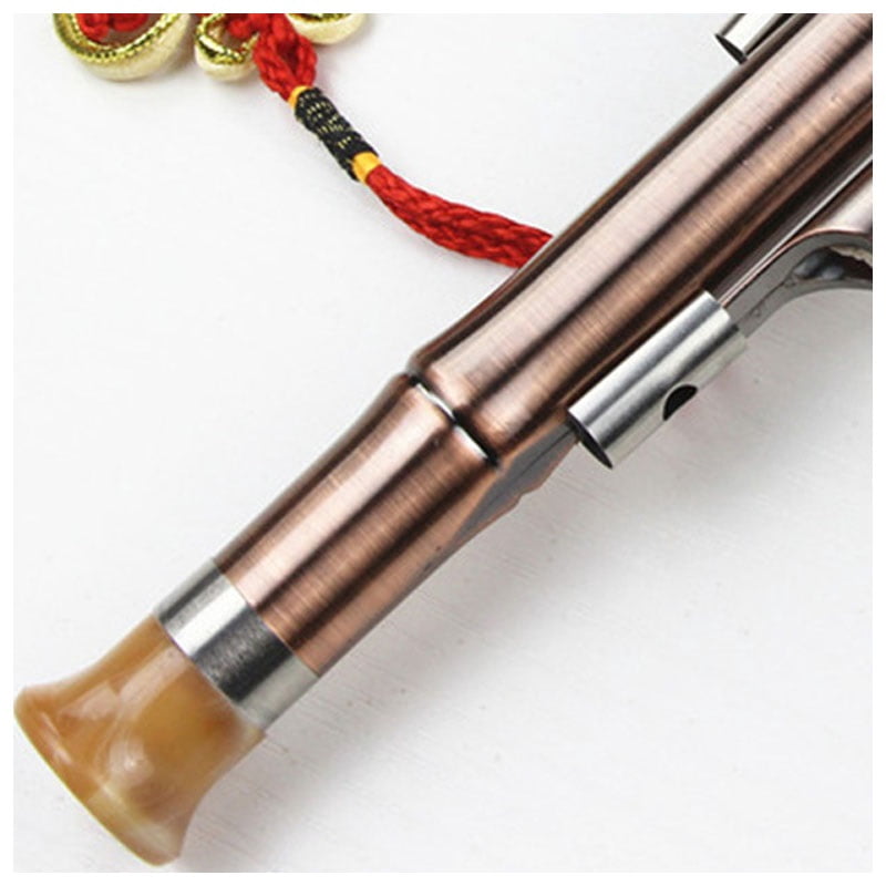 Professional Hulusi, with carrying box B-flat key, Hulusi gourd cucurbit flute for beginners, traditional Chinese instrument, musical self-study