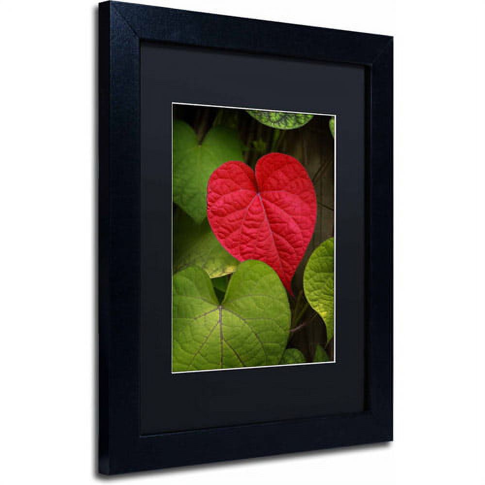 Trademark Fine Art "Heart to Take" Canvas Art by Philippe Sainte-Laudy, Black Matte, Black Frame