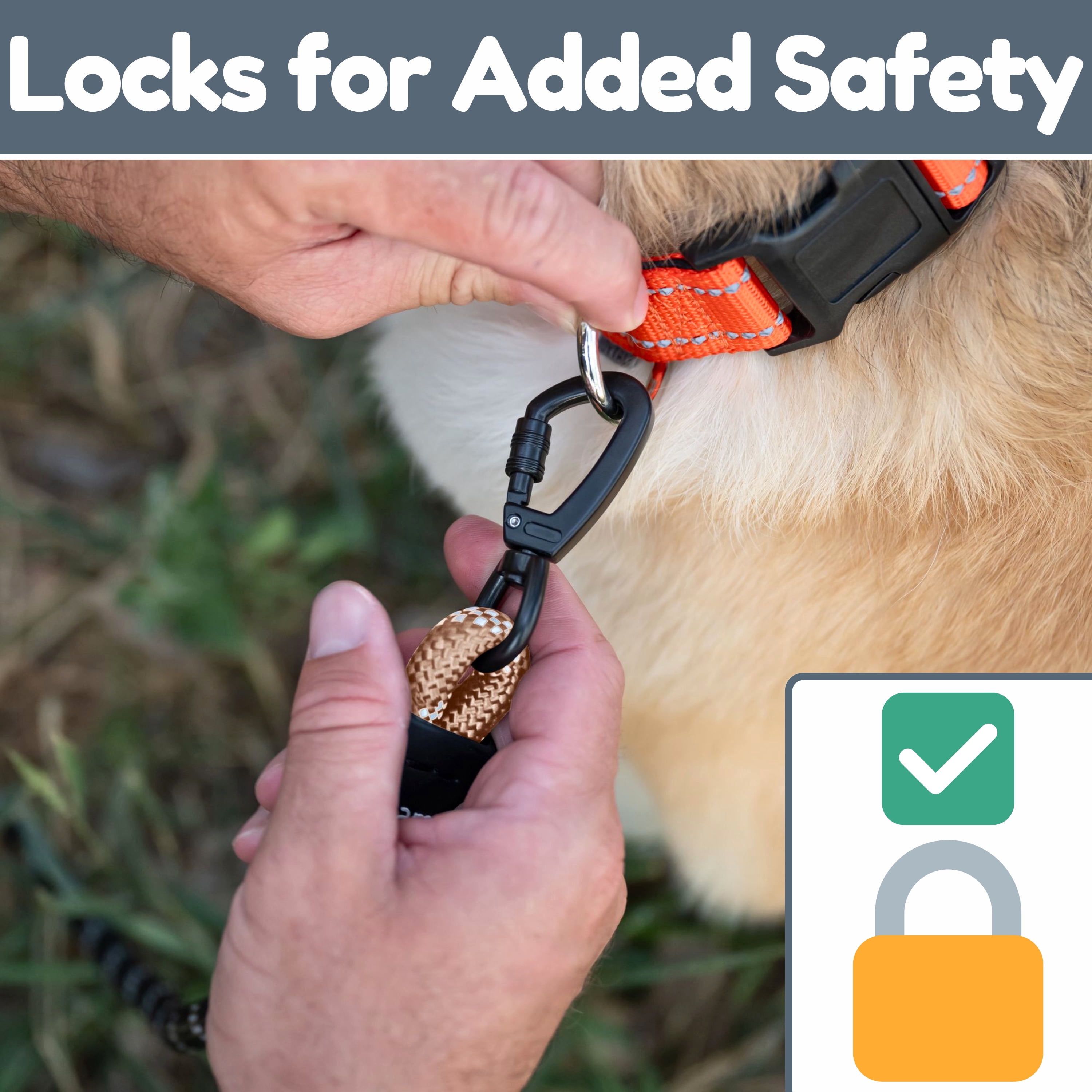 6 Ft Dog Leash - Heavy Duty Leashes for Medium Dogs to Large Breeds, Two Extra Padded Handles, Reflective, Shock-Absorbing, Strong Anti-Pull Rope Training Leash for Walking & Running - Roam Gear