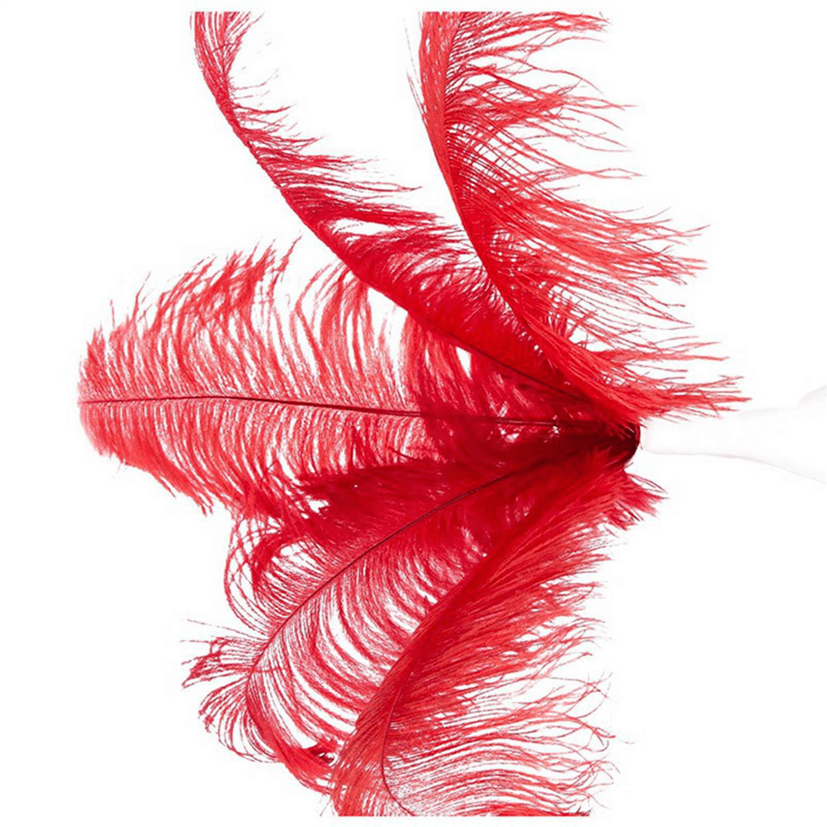 100 Pcs Natural Ostrich Feathers Wedding Decoration Red 20-25cm