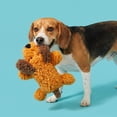thumbnail image 3 of Vibrant Life Brown Floppy Dog Plush Dog Toy with Squeaker, Chew Level 1, 3 of 12