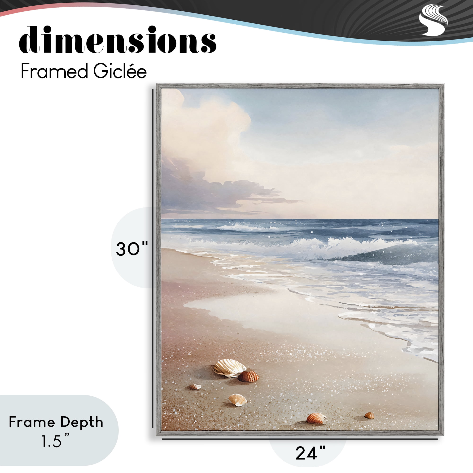 Stupell Industries Washed Up Seashells Gray Framed Giclee Art, design by Franklyn Gregory