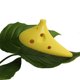 thumbnail image 5 of EeaseMX Ocarina Alto Do de 12 agujeros, instrumento musical para principiantes y profesionales (amarillo), 5 of 7