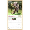 Compact Calander Designs 2022 the Original Pocket Pigs Calendar - Walmart.com