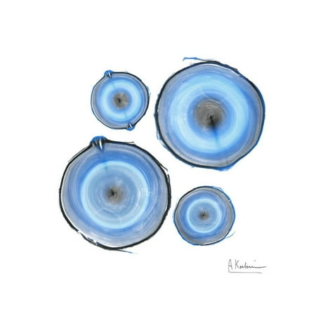 Mineral Art - Mineral Rings 1 Print Wall Art By Albert Koetsier