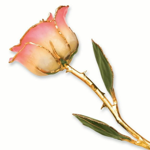 24k Gold Plated Trim White Pink Rose
