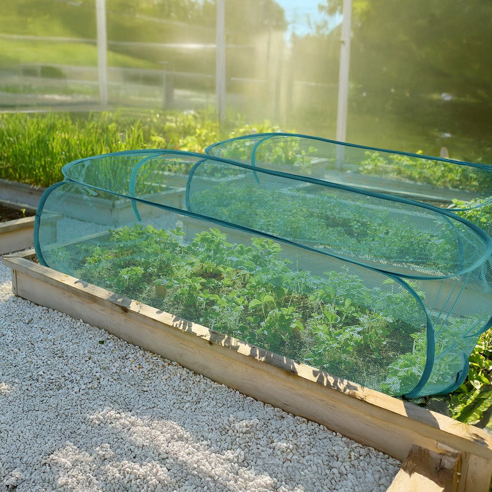 Hyasfey Garden Netting for Raised Beds Foldable Mesh Plant Cage with Ground Stakes Insect Bird Control Raised Bed Cover for Plant Protection