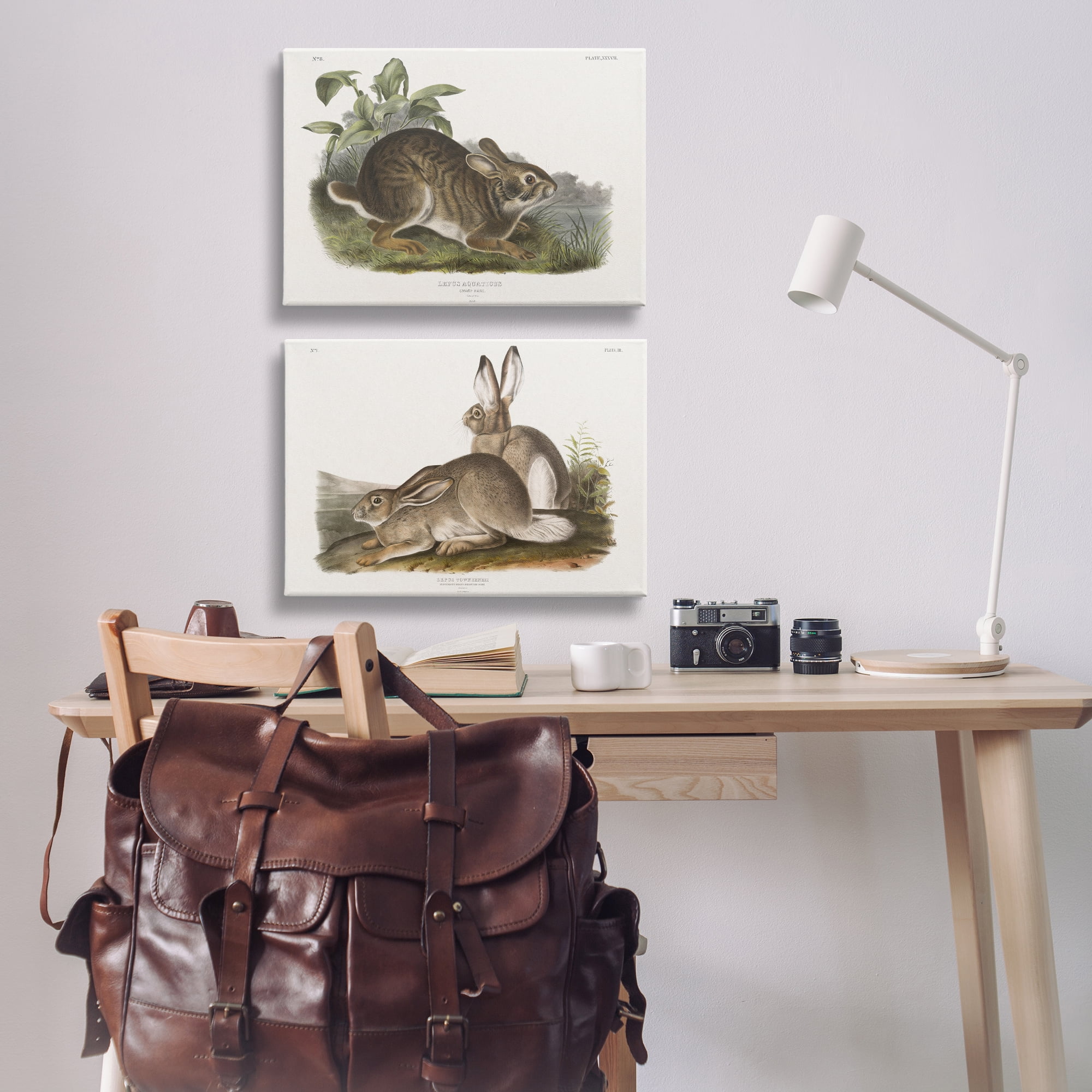 Stupell Industries Gentle Resting Cottage Rabbit Animals Painting Wrapped Canvas Art Print Wall Art, 24 x 16, Set of 2
