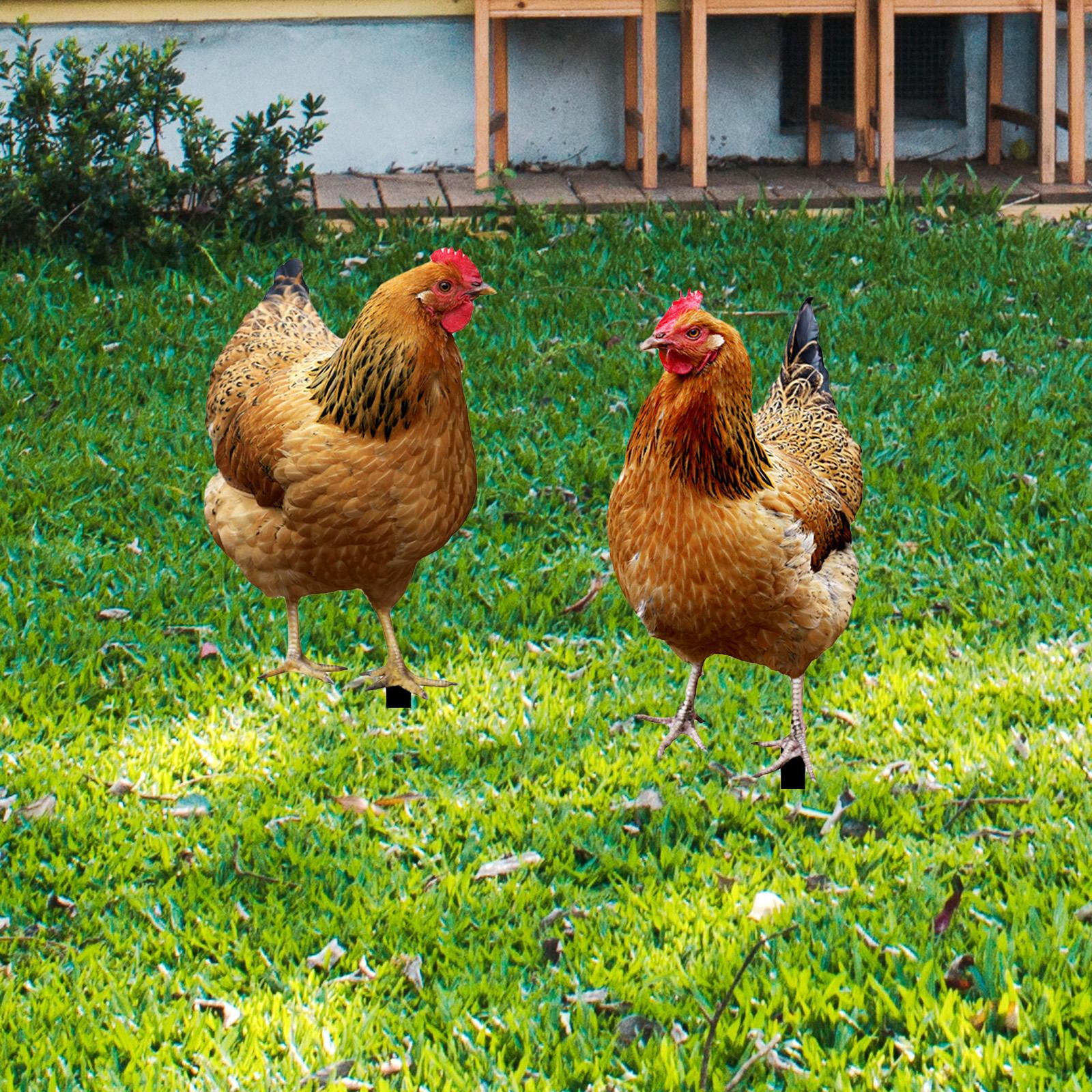 Kuntesetty 2 Pieces Hen Statue Garden Stakes Yard Art Ornaments Realistic Animal Sculptures